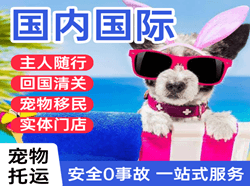 曹家堡航空货运国际宠物托运 【国